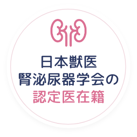 日本獣医腎泌尿器学会の認定医在籍
